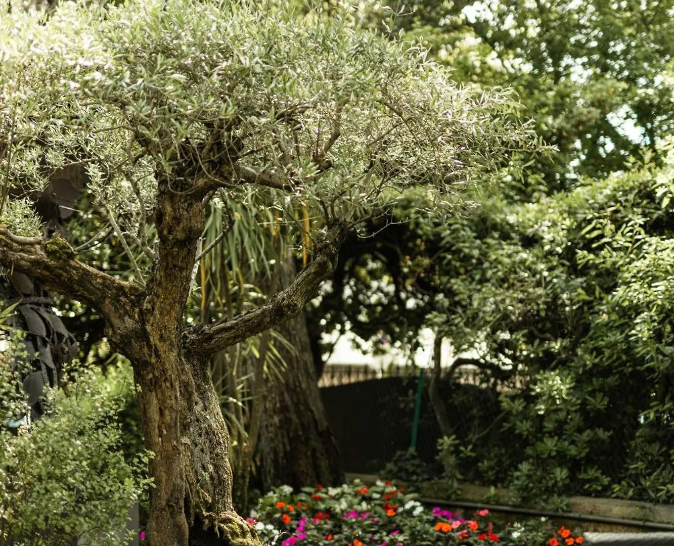 Cezanne Hotel Cannes