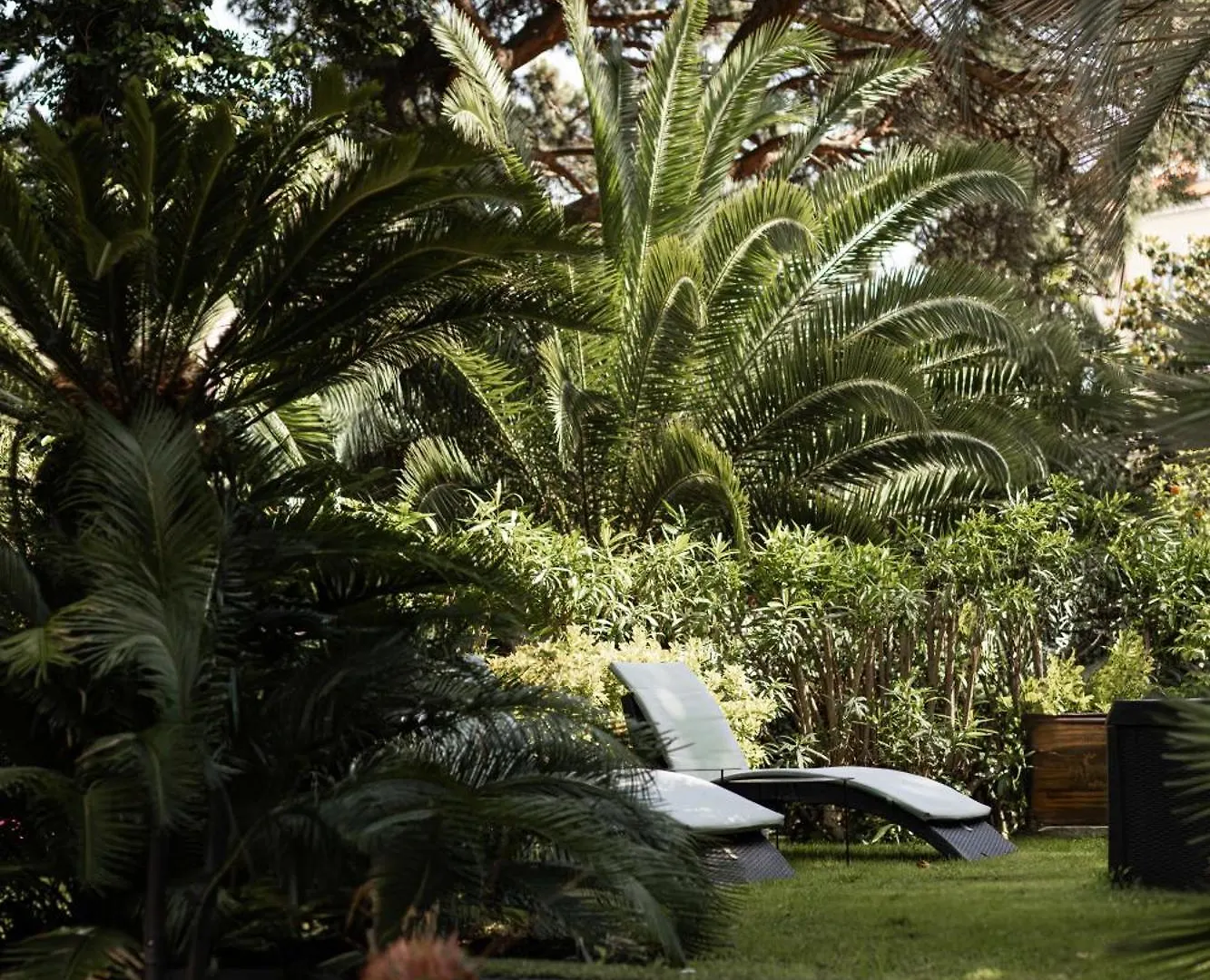 Cézanne Hôtel Spa Cannes