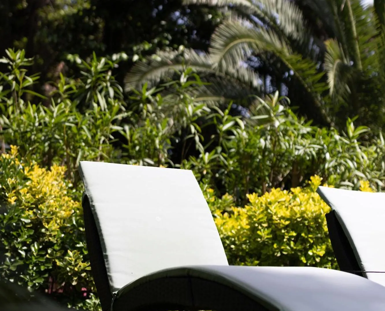 Hotel Cézanne Hôtel Spa Cannes